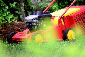 Tuinonderhoud in Arnhem laten uitvoeren